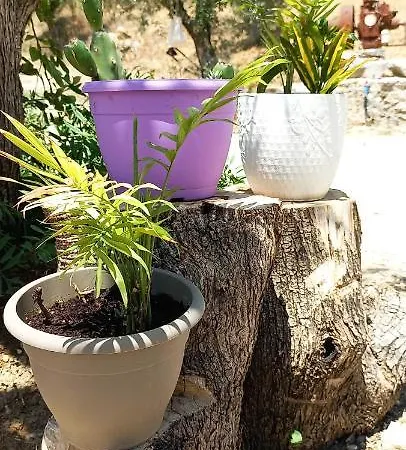 Lily Home_lefkada ~ Private Holiday home